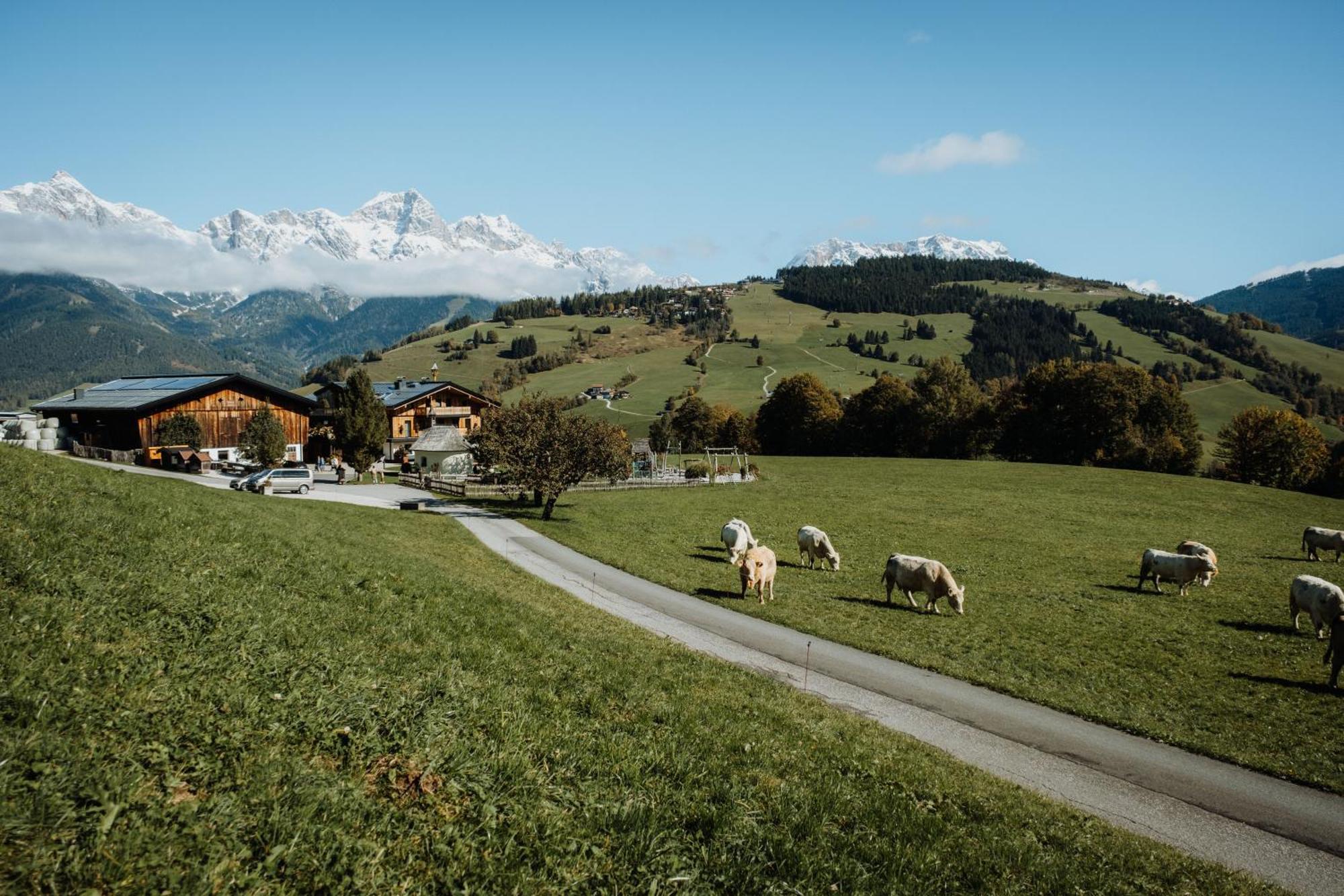 Biohof Ebengut Aparthotel Maria Alm am Steinernen Meer Exterior photo